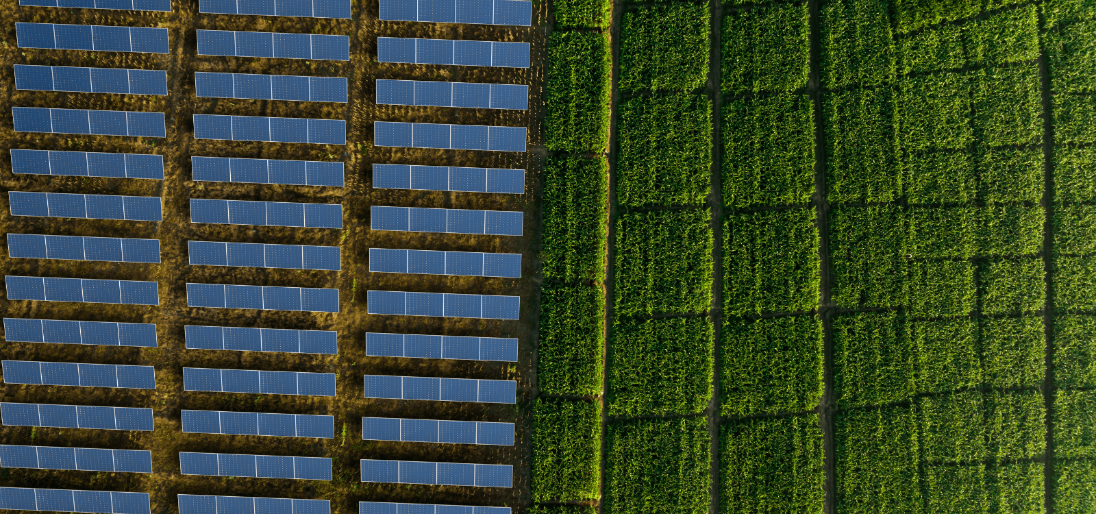 Madison County Solar Farm Debate: Farmland vs. Clean Power