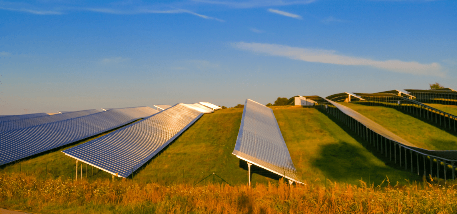 New York's First Agrivoltaics Project: Solar Meets Farming