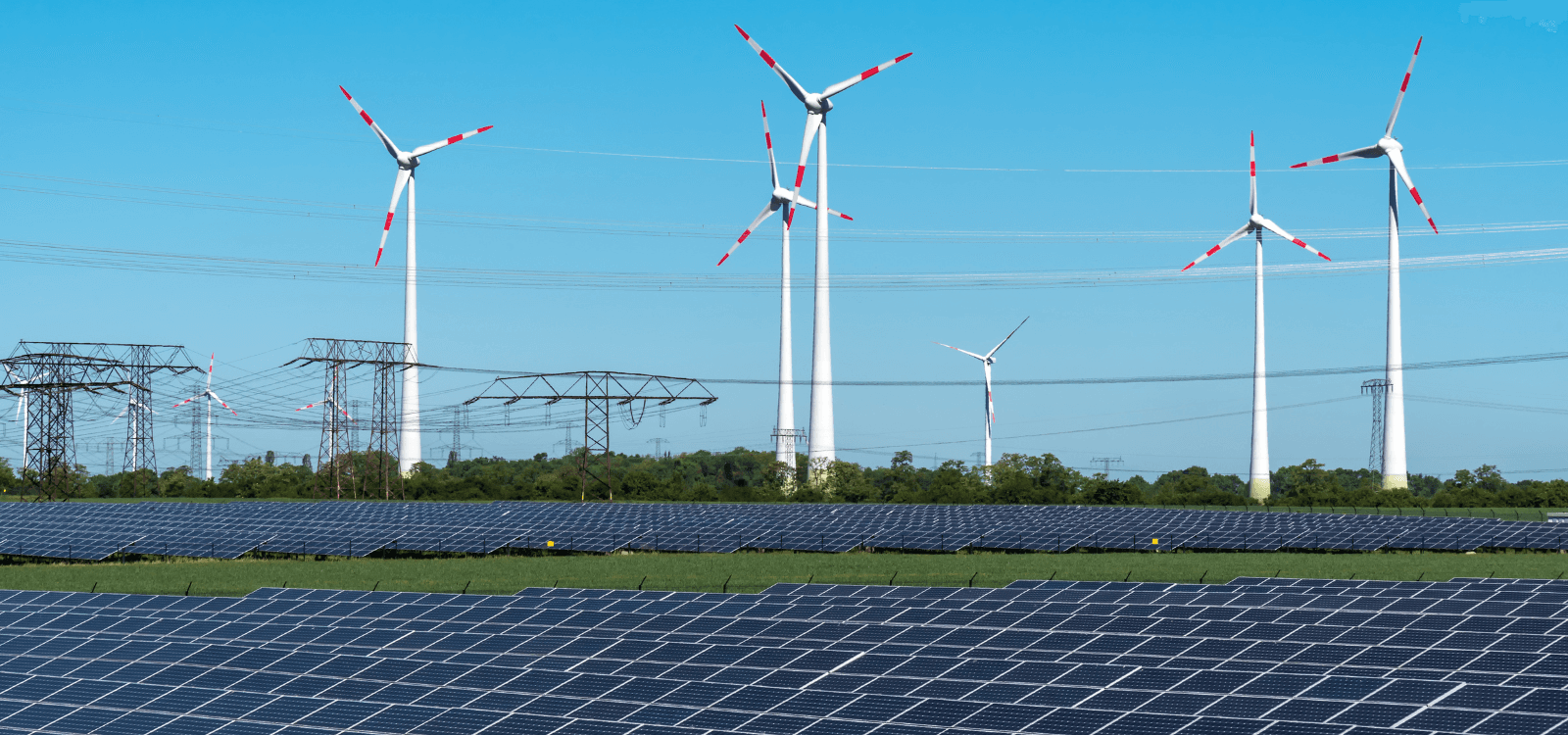 Elmantic: 4 GW Renewables Venture Bets on the Long Game
