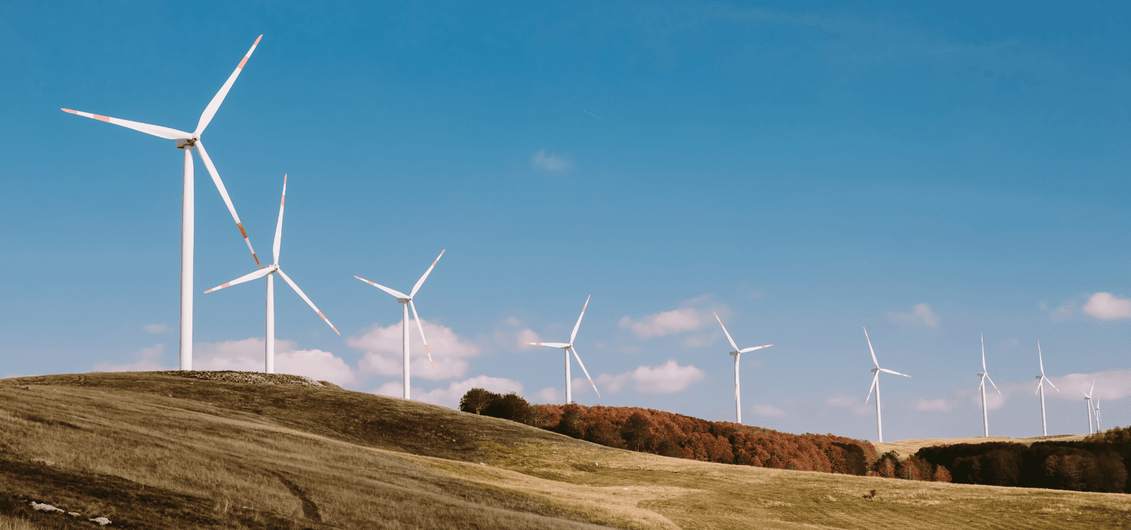 A third of Europe's wind capacity will face critical end-of-life decision by 2030 finds new Shoreline report