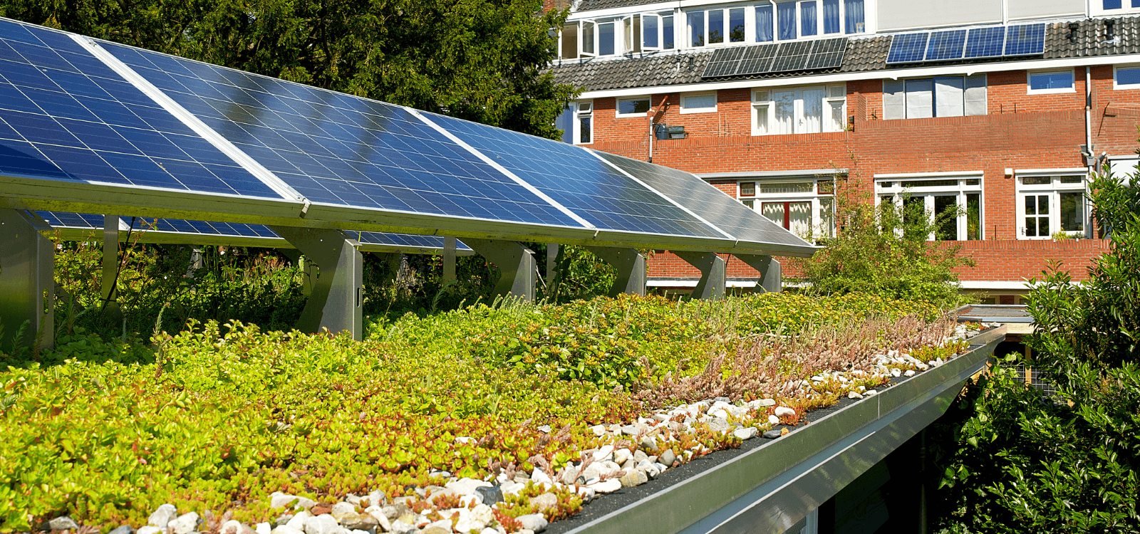 Biosolar Roofs Boost Rooftop Solar Output Up to 23%