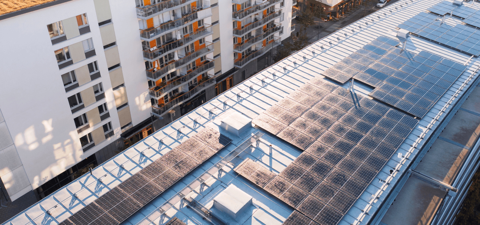 Anonymous donor helps Philadelphia Habitat for Humanity homes go solar
