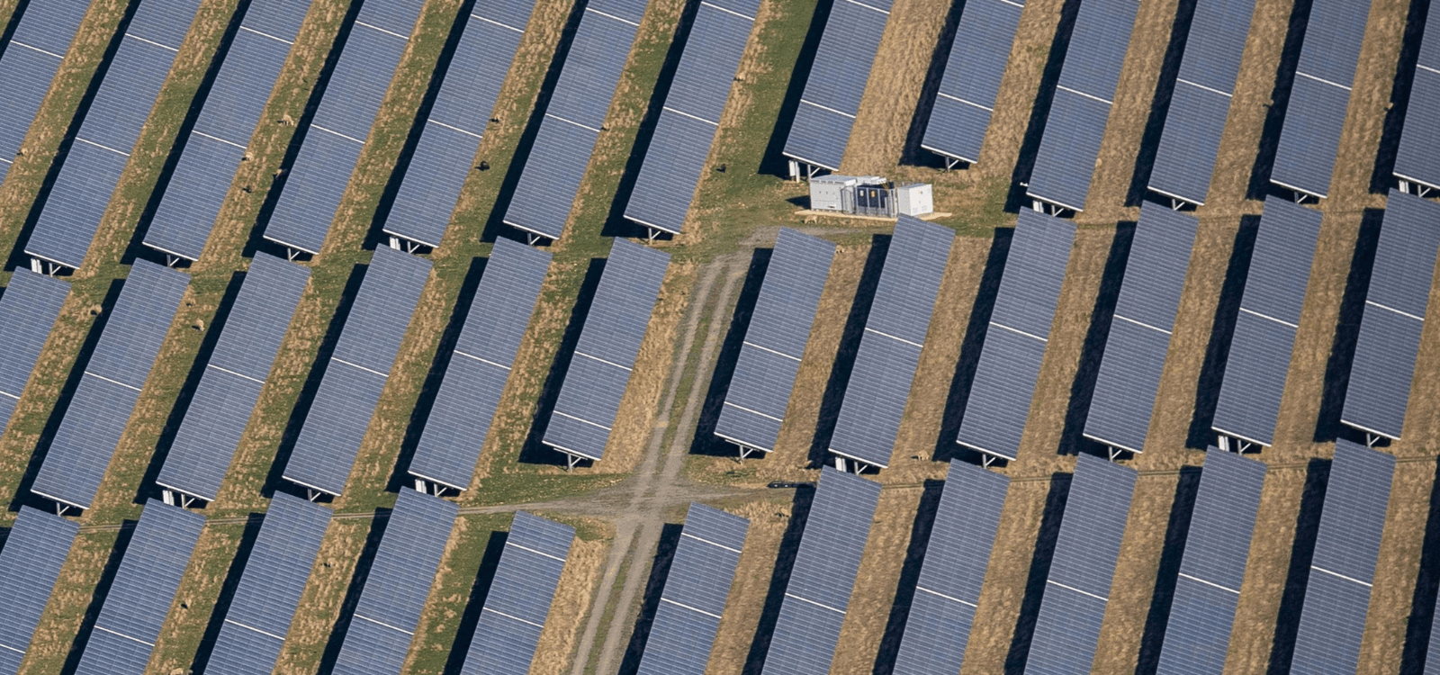 Aging U.S. Solar Needs a Plan: Why Repowering Beats Removal
