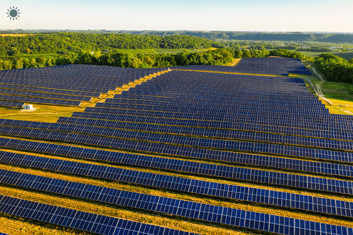 Large solar farm with long rows of photovoltaic panels stretching across rolling fields, surrounded by green trees under a clear sky.