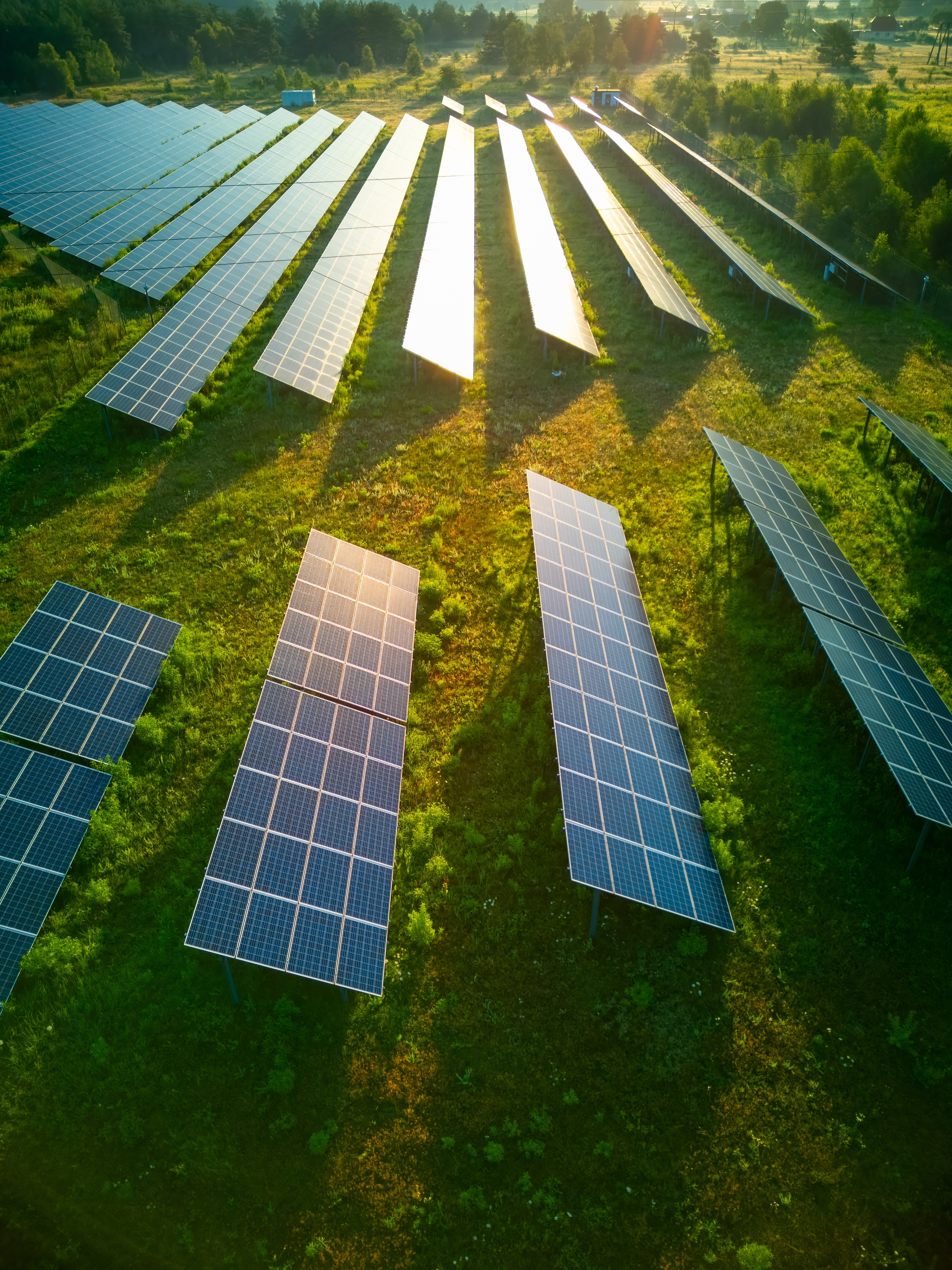 Field-mounted solar panel array